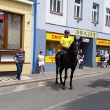 adhr-dobruska-den-izs-20160610_114238