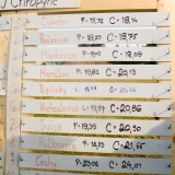 adhr-chropyne-velka-cena-mhj-P1130653